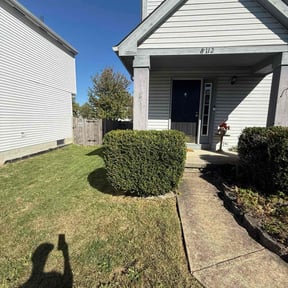 Bush Trimming by Salas Lawn Saviors reviewed on August 5, 2024