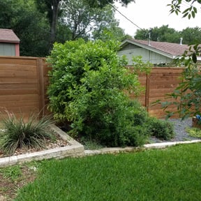 Bush Trimming by Lawn barber reviewed on August 21, 2025