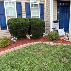 Bush Trimming by Robert Carreras Lawn Care reviewed on August 15, 2026