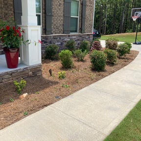 Bush Trimming by Reil Lawn Company LLC reviewed on August 15, 2025