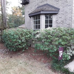 Bush Trimming by TNL LANDSCAPING reviewed on August 17, 2025