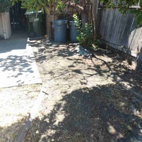 Leaf Removal by Border 2 border landscaping reviewed on September 21, 2025