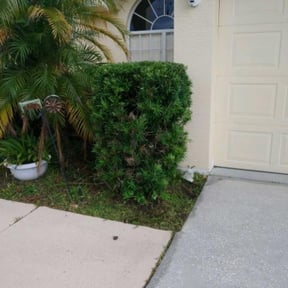 Bush Trimming by Keep it Loe Lawn Service reviewed on August 16, 2025
