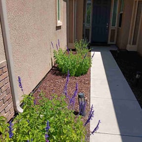 Flower Bed Weeding by IMPAKT Lawn Solutions reviewed on May 6, 2026