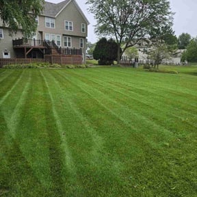 yard service by Lawn Geekz reviewed on August 16, 2025