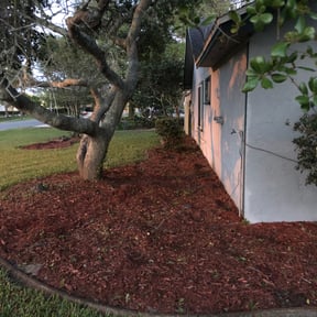 Bush Trimming by Zachs tree & lawncare LLC reviewed on August 15, 2025