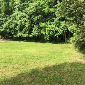 yard work by Full Service Lawn Care reviewed on August 15, 2025