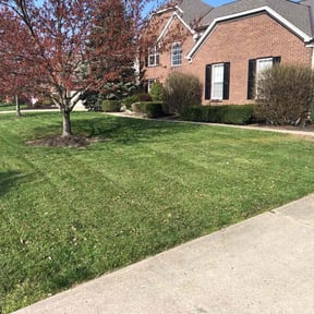 gardening service by Morgan Boys LLC reviewed on September 12, 2023