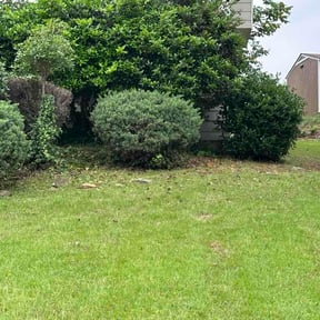 Flower Bed Weeding by Precision Lawncare reviewed on August 2, 2026