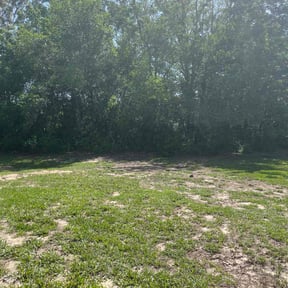 Bush Trimming by 66landscaping.com reviewed on August 21, 2025