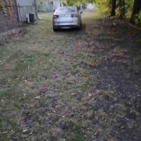 Leaf Removal by Moo&#039;s Mowing, LLC reviewed on November 7, 2025