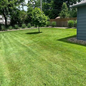 yard service by J&J Lawn Care reviewed on August 21, 2025