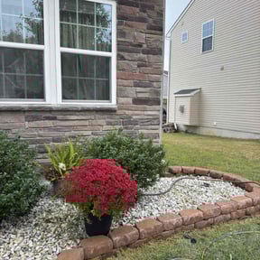 Flower Bed Weeding by BLACK HORSE reviewed on October 21, 2025