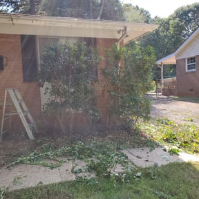 Bush Trimming by Stephen Reynolds reviewed on August 17, 2025