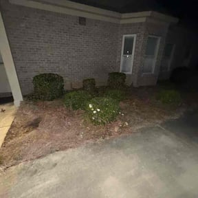 Bush Trimming by Widow Lawn Care reviewed on October 21, 2025