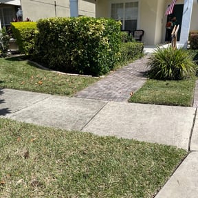 Bush Trimming by A&amp;L Lawncare reviewed on May 14, 2024