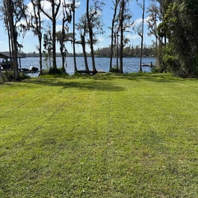 lawn maintenance by FLA Mowers LLC reviewed on June 13, 2025