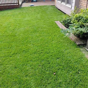 landscaping services by Creative Edge lawn & Landscape reviewed on August 18, 2025