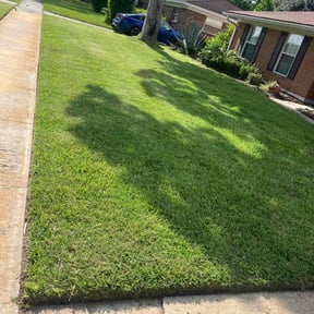 yard work by King of blades reviewed on December 5, 2025