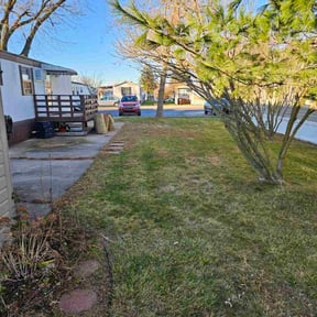 Leaf Removal by Turf Angels llc reviewed on November 18, 2025