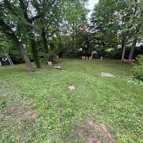 Weeding by United Flat Truck Dispatch LLC reviewed on October 1, 2024