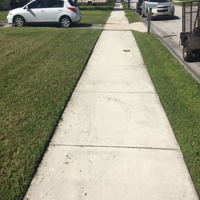 Bush Trimming by A job well done reviewed on August 20, 2025