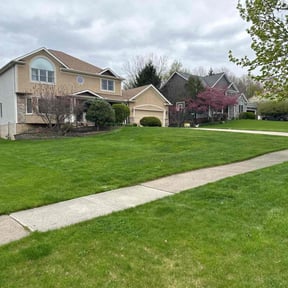 yard maintenance by Sunny Days Landscape reviewed on August 19, 2025