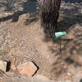 Flower Bed Weeding by J5 Lawn Care reviewed on April 22, 2026