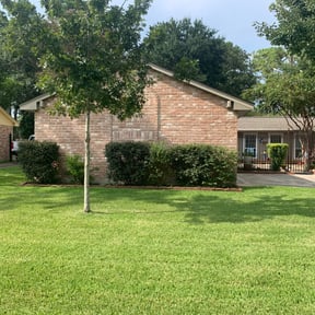Bush Trimming by Kelly Lawn Care reviewed on August 18, 2025
