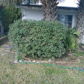 Bush Trimming by Killian Landscaping, LLC. reviewed on August 20, 2025