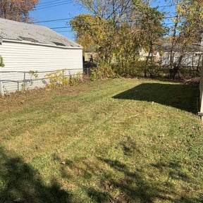 Leaf Removal by Consolidated Specialty reviewed on November 7, 2025