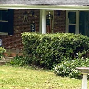Bush Trimming by Double F Lawns reviewed on August 18, 2025