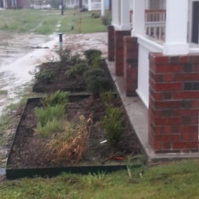 Bush Trimming by Kingdom Landscape & Design reviewed on August 18, 2025