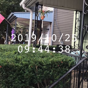 Bush Trimming by C&R Services reviewed on August 13, 2025