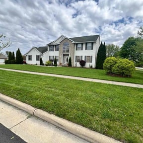 lawn care by Vameer Transport LLC reviewed on August 19, 2025