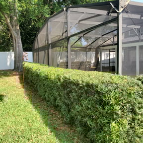 Bush Trimming by Brooks lawn Care reviewed on August 20, 2025