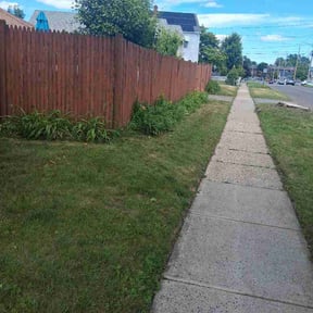 Flower Bed Weeding by Delbert  Jones reviewed on June 13, 2026