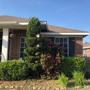 Bush Trimming by Text 2 Cut Lawn Care LLC reviewed on August 17, 2025