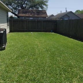 yard work by P2P reviewed on August 16, 2025