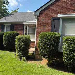 Bush Trimming by JR and Sons Lawn Service reviewed on October 15, 2026