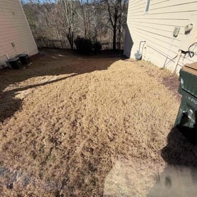Leaf Removal by Turner Boys Lawn Service reviewed on July 24, 2026