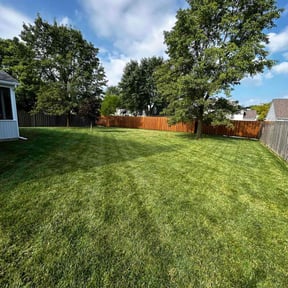 landscaping services by 911 elite landscaping reviewed on August 16, 2025