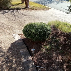 Bush Trimming by Residential property service reviewed on August 20, 2025