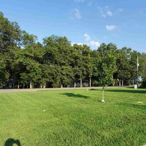 landscaping by 23:1 lawn care reviewed on August 21, 2025