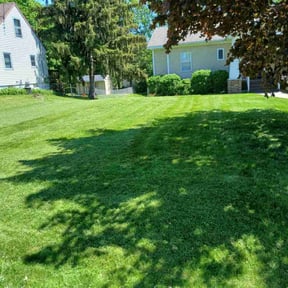 gardening service by L&D Lawn Care Inc. reviewed on August 17, 2025
