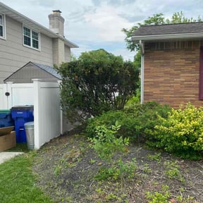 Bush Trimming by BMH Lawn Care reviewed on June 6, 2026