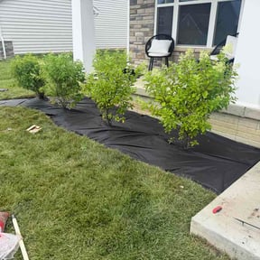 Mulching by OnlyMowers LLC reviewed on June 27, 2026