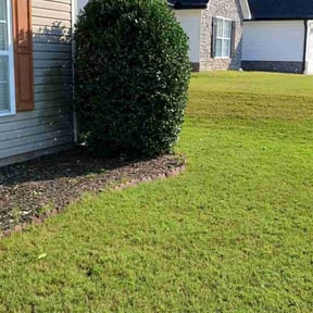 Bush Trimming by Cant Stop Wont Stop Landscaping reviewed on August 20, 2025