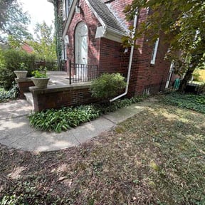 Bush Trimming by Conner Meadows reviewed on October 18, 2025