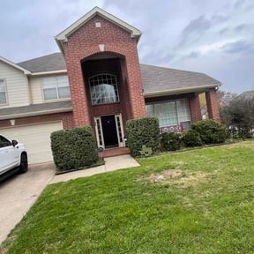 Bush Trimming by Shades of green  reviewed on March 15, 2026